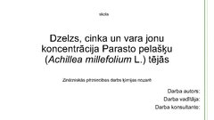 Referāts 'Dzelzs, cinka un vara masas daļa Parasto pelašķu (Achillea millefolium L.) tējās', 21.