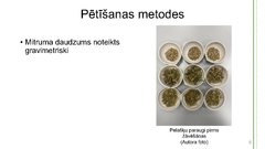 Referāts 'Dzelzs, cinka un vara masas daļa Parasto pelašķu (Achillea millefolium L.) tējās', 26.