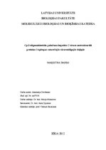 Diplomdarbs 'CpG oligonukleotīdu pakošana hepatīta C vīrusa nestrukturālā proteīna trīs epito', 1.