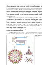 Diplomdarbs 'CpG oligonukleotīdu pakošana hepatīta C vīrusa nestrukturālā proteīna trīs epito', 17.