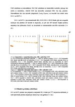 Diplomdarbs 'CpG oligonukleotīdu pakošana hepatīta C vīrusa nestrukturālā proteīna trīs epito', 38.