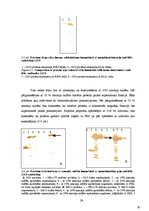 Diplomdarbs 'CpG oligonukleotīdu pakošana hepatīta C vīrusa nestrukturālā proteīna trīs epito', 39.