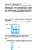Diplomdarbs 'CpG oligonukleotīdu pakošana hepatīta C vīrusa nestrukturālā proteīna trīs epito', 40.