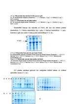Diplomdarbs 'CpG oligonukleotīdu pakošana hepatīta C vīrusa nestrukturālā proteīna trīs epito', 42.