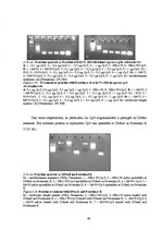 Diplomdarbs 'CpG oligonukleotīdu pakošana hepatīta C vīrusa nestrukturālā proteīna trīs epito', 49.