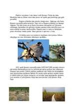 Referāts 'Ķemeru nacionālais parks', 5.