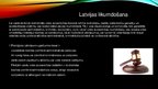 Prezentācija 'Juridiska atbildība par videi nodarīto kaitējumu', 16.