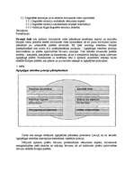 Referāts 'Dzīvojamās vides attīstība Rīgā ', 7.