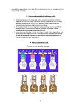 Konspekts 'Motors un tā darbība', 2.