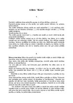 Konspekts 'Grāmatas "Būris" apkopojums', 1.