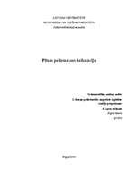 Konspekts 'Pašizmaksas kalkulācija konsultantam', 1.