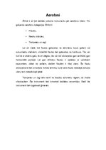 Referāts 'Mūzikas instrumentu dažādība Āfrikā', 8.