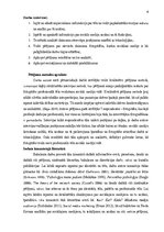 Diplomdarbs 'Fotogrāfes profesionālā tēla veidošana sociālo mediju vidē: Latvijas gadījumu an', 6.