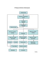 Prakses atskaite 'Institūcijas vadības prakse', 7.