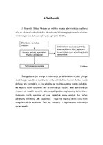 Prakses atskaite 'Institūcijas vadības prakse', 12.