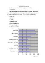 Prakses atskaite 'Institūcijas vadības prakse', 14.