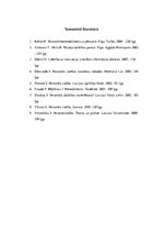 Prakses atskaite 'Institūcijas vadības prakse', 18.