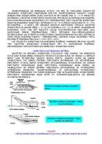 Konspekts 'Cieto un bīstamo atkritumu apsaimniekošana', 4.