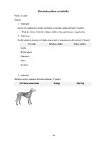 Referāts 'Metodisko materiālu portfolio dabaszinībās', 19.