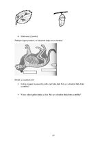 Referāts 'Metodisko materiālu portfolio dabaszinībās', 21.