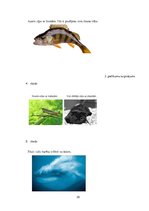 Referāts 'Metodisko materiālu portfolio dabaszinībās', 30.