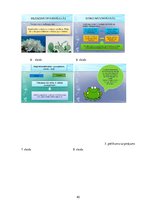 Referāts 'Metodisko materiālu portfolio dabaszinībās', 40.