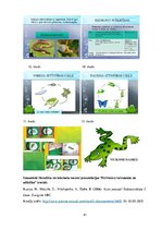 Referāts 'Metodisko materiālu portfolio dabaszinībās', 41.
