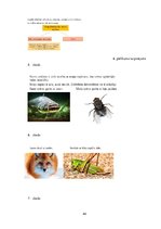 Referāts 'Metodisko materiālu portfolio dabaszinībās', 44.