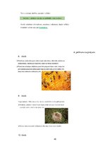 Referāts 'Metodisko materiālu portfolio dabaszinībās', 45.