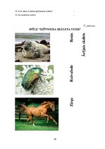 Referāts 'Metodisko materiālu portfolio dabaszinībās', 49.