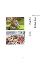 Referāts 'Metodisko materiālu portfolio dabaszinībās', 50.