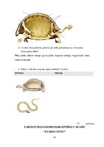 Referāts 'Metodisko materiālu portfolio dabaszinībās', 54.