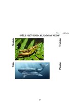 Referāts 'Metodisko materiālu portfolio dabaszinībās', 57.