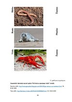 Referāts 'Metodisko materiālu portfolio dabaszinībās', 59.