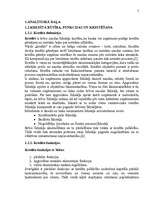 Referāts 'Līzinga tirgus novērtēšana', 5.