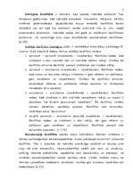 Konspekts 'Konflikta būtība', 2.