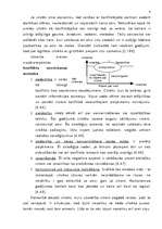 Konspekts 'Konflikta būtība', 4.