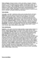 Konspekts 'Valsts un vara', 3.
