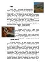 Referāts 'Turcija', 6.