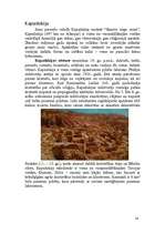 Referāts 'Turcija', 16.