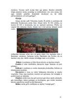 Referāts 'Turcija', 20.