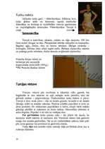 Referāts 'Turcija', 21.