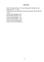 Referāts 'Dēļu nozīme cilvēku dzīvē', 19.