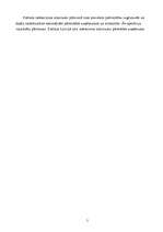 Referāts 'Investēšana bīstamu atkritumu apsaimniekošanā', 5.