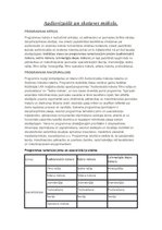 Konspekts 'Audiovizuālā un skatuves māksla', 1.