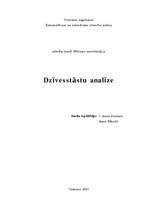 Referāts 'Dzīvesstāstu analīze', 1.