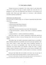 Referāts 'Starptautiskās gaisa tiesības', 6.