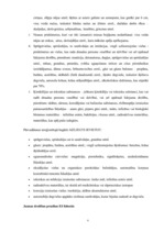 Referāts 'Starptautiskās gaisa tiesības', 9.