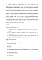 Referāts 'Starptautiskās gaisa tiesības', 10.