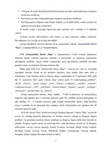 Referāts 'Starptautiskās gaisa tiesības', 17.